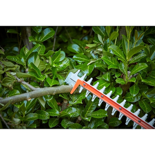BLACKDECKER BCHTS3625L1 hedge trimmer blade cutting a branch among green leaves, close-up.