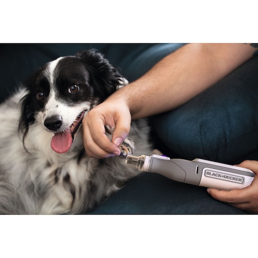 BLACK+DECKER BCRT8IPETK pet nail grinder used on dog paw, close-up photography.