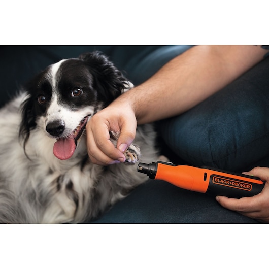 Photo of BLACK+DECKER BCRT8I pet nail grinder in use on a dog's paw.