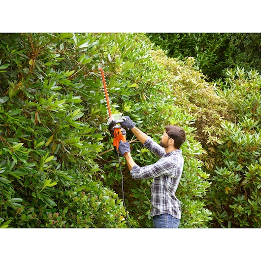 BLACKDECKER BEHTS301 hedge trimmer in use, orange and black, trimming tall green bushes outdoors.