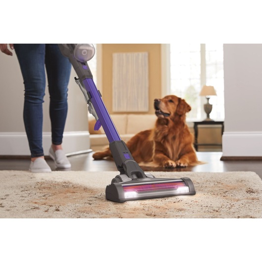 BLACKDECKER BHFEV182CP cordless stick vacuum cleaning carpet, dog in background, indoor setting.